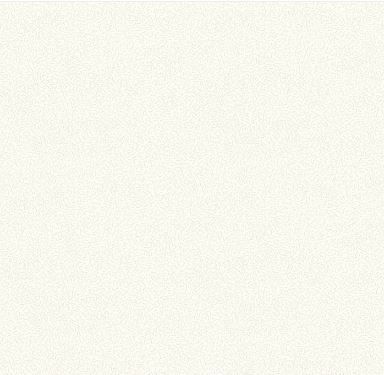 Windham Fabrics Nature Study 2.0  54688-30 Unbleached Online