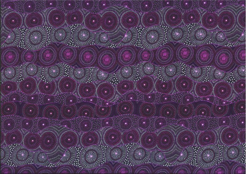 M&amp;S Textiles Australia Alpara Seed ALP Purple Online