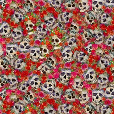 Clothworks Faboolous Y4475-55 Multi Color Online