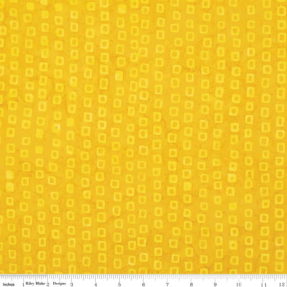 Riley Blake Batiks That Summer Feelin' BTHH1210 Sunray Online