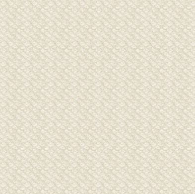 Maywood Studio Woolies Flannel MASF18505 E Light Cream Online