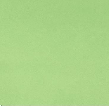 Shannon Fabrics Cuddle 3 Solid C3 Sage Online