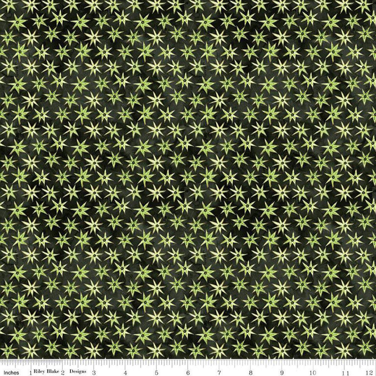 Riley Blake Ghoul Friends C16055 Black Online