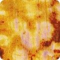 Robert Kaufman Wishwell: Industrial Imprints ANJD-22866-291 Curry Online
