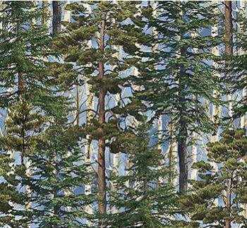 Northcott Fabrics Timber Trail-Naturescapes DP28581-45 Blue Multi Online