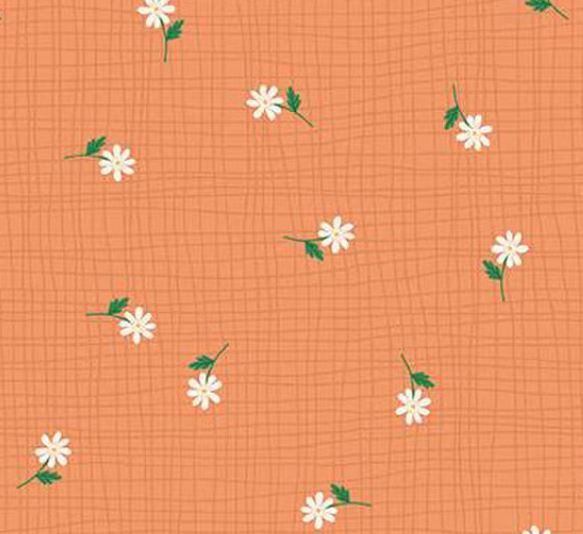 Riley Blake Stay Wild C15214-Marmalade Online
