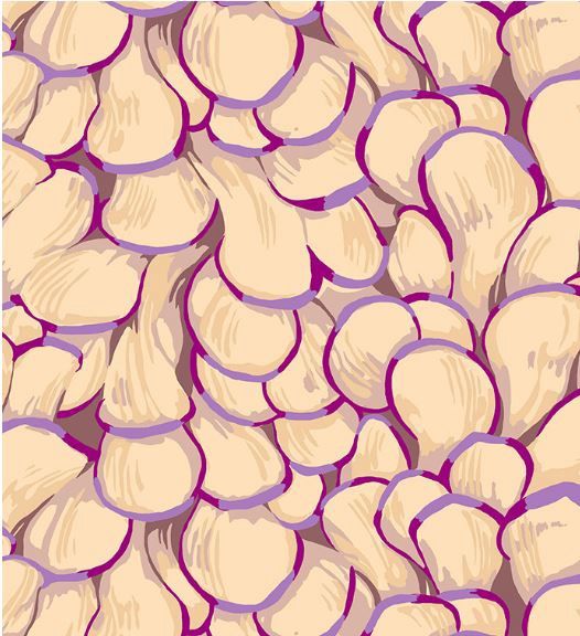 FreeSpirit Fabrics Forage PWMN068.LIGHT Online