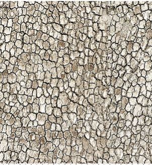 Northcott Fabrics Timber Trail-Naturescapes  DP28583-14 Taupe Online