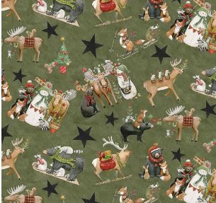Riley Blake Designs Northern Christmas C17830 Green Online