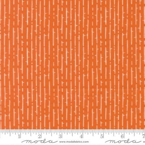 Moda Fabrics Coven 48806 13 Pumpkin Spice Online