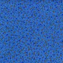M&amp;S Textiles Bush Worm BWOBL Blue Online