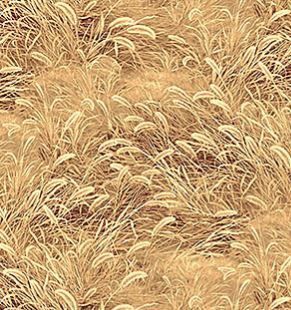 Northcott Fabrics Birchwood-Naturescapes  29111-14 Tan Online