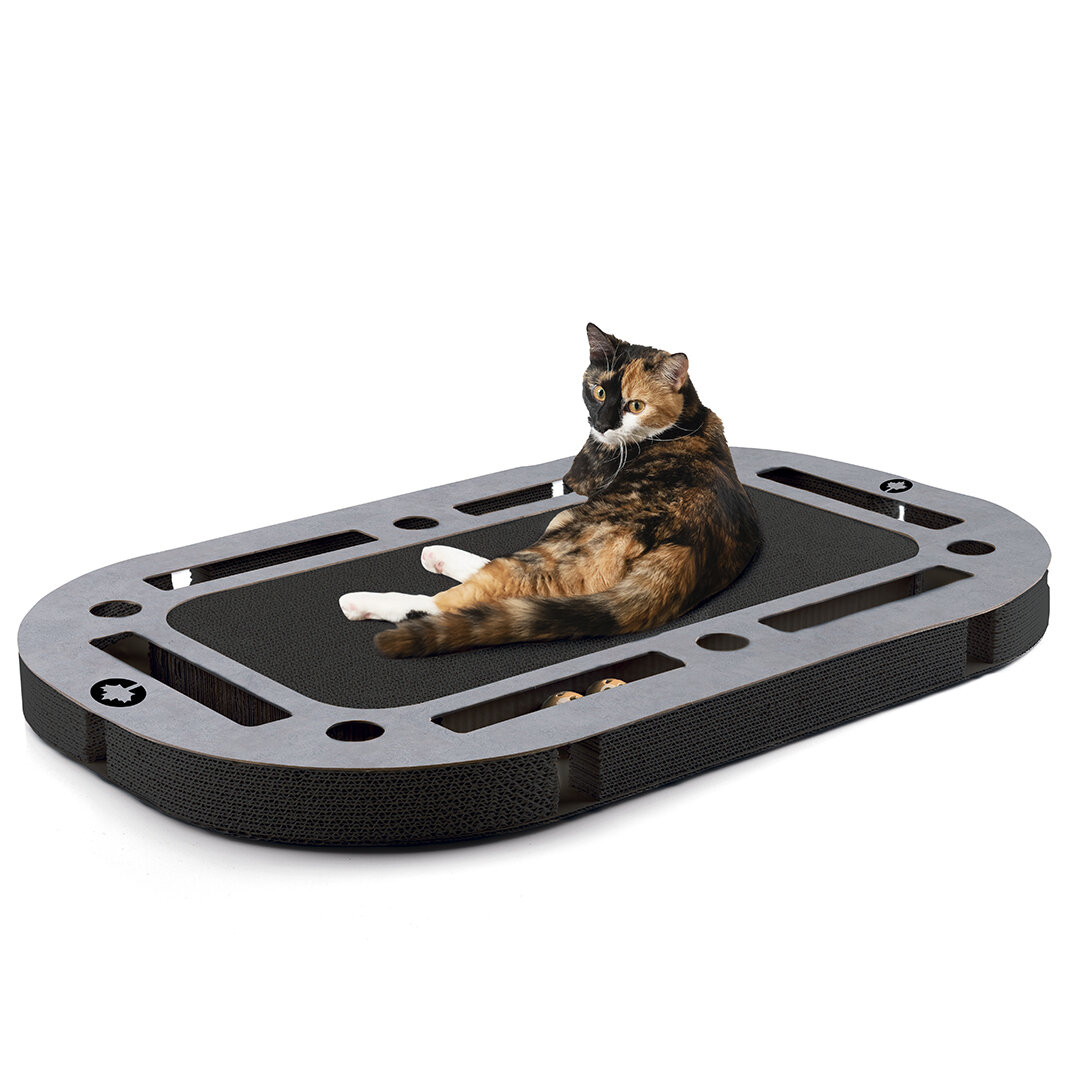 PlayPlate BLACK EDITION · betonlook · XXL Spielplatz