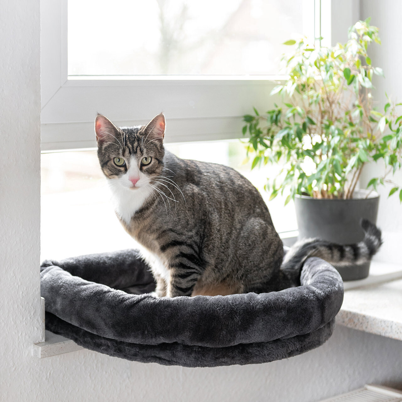 LOVESEAT Fensterbett · Fensterbank Liegeplatz · Anthrazit