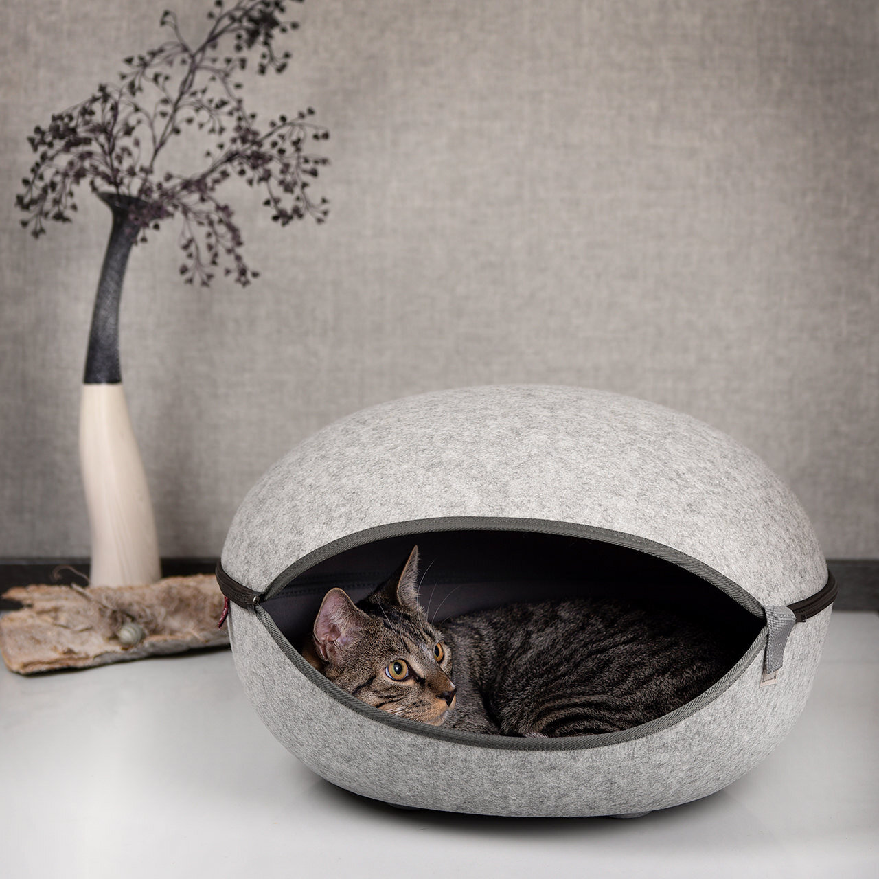 KATZENNEST felsengrau