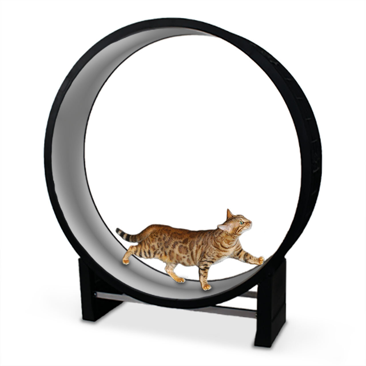 Katzenlaufrad Cat in Motion black / hellgrau