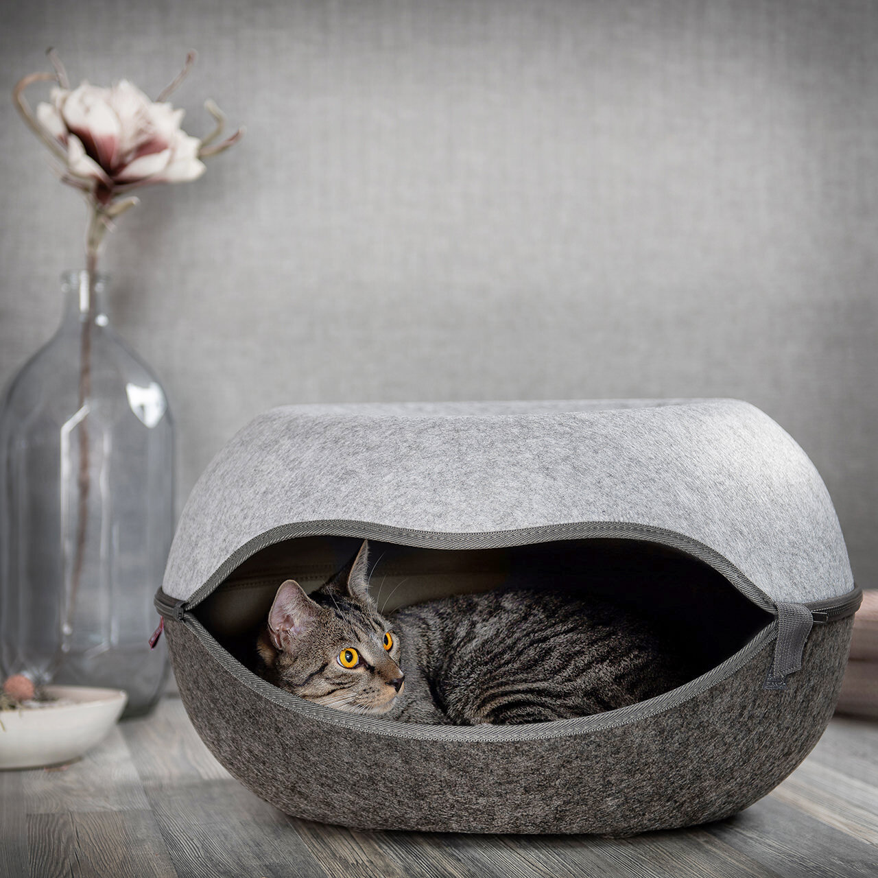 Das Katzennest 2.0 · Filz · anthrazit-grau