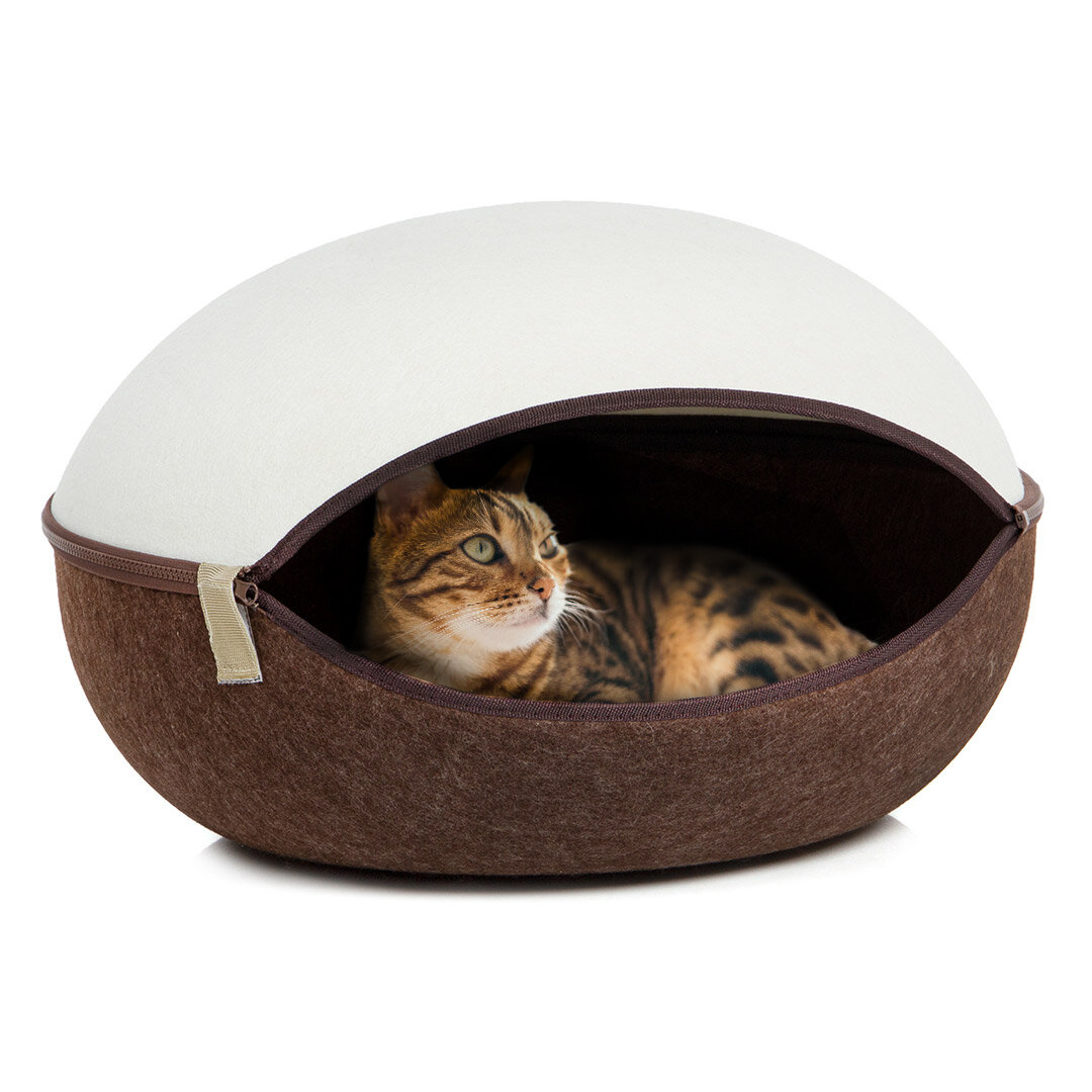 KATZENNEST creme-braun