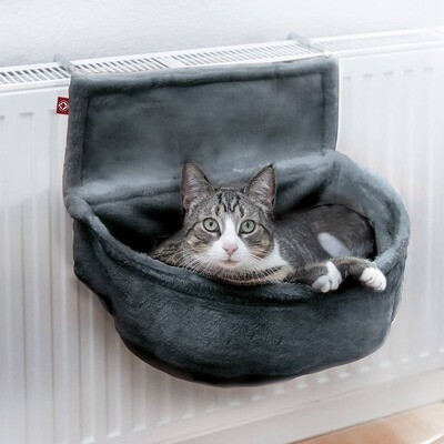 Dog radiator bed clearance