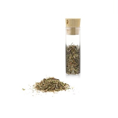 Katzengamander · echtes Gamanderkraut · die neue Katzenminze zum Befüllen von Duftkapseln oder Dufttaschen · Reagenzglas ca. 25 ml