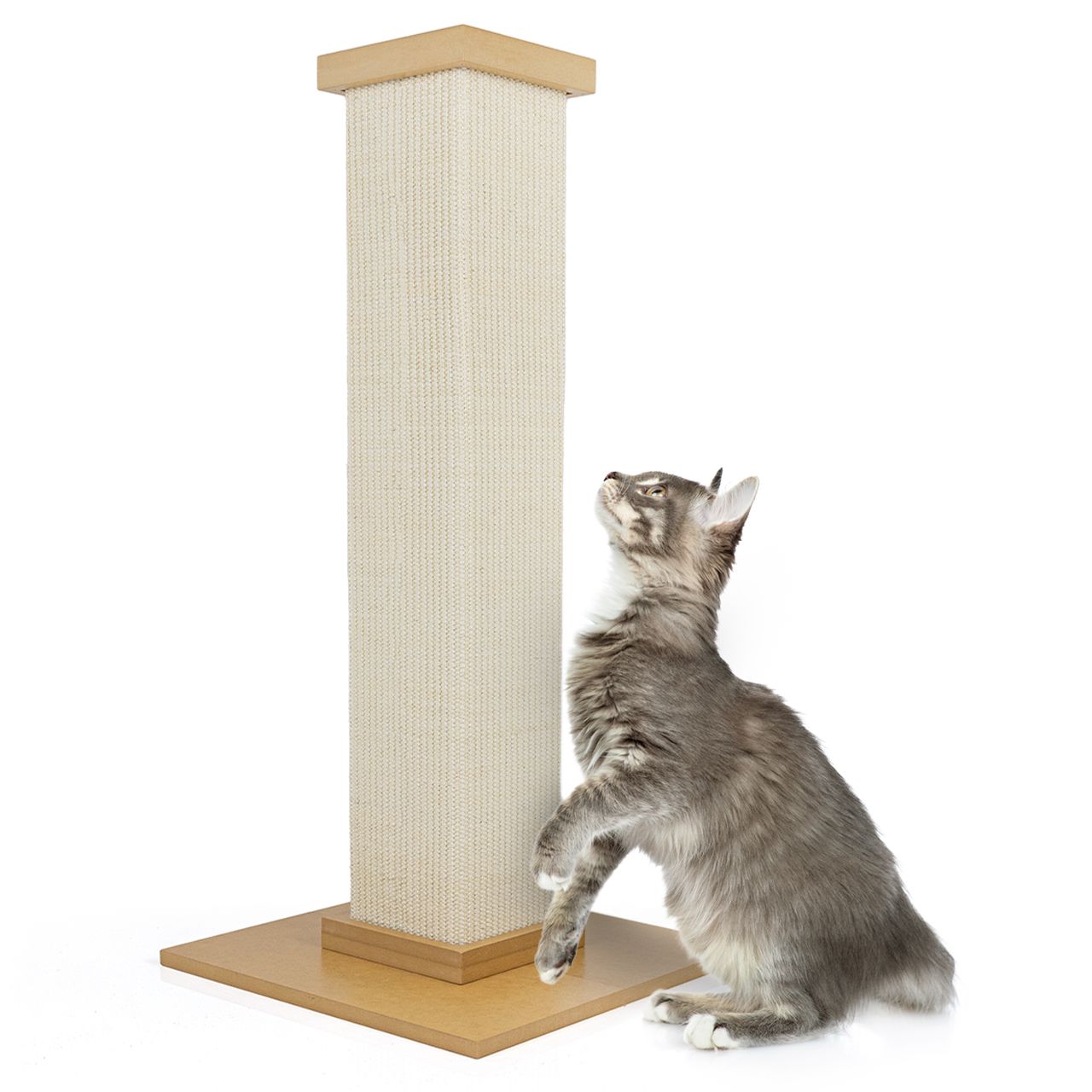 Kratzstamm Kenny · Kratzsäule · beige · Kratzsäule Ø14 cm · 40 x 40 x 84 cm