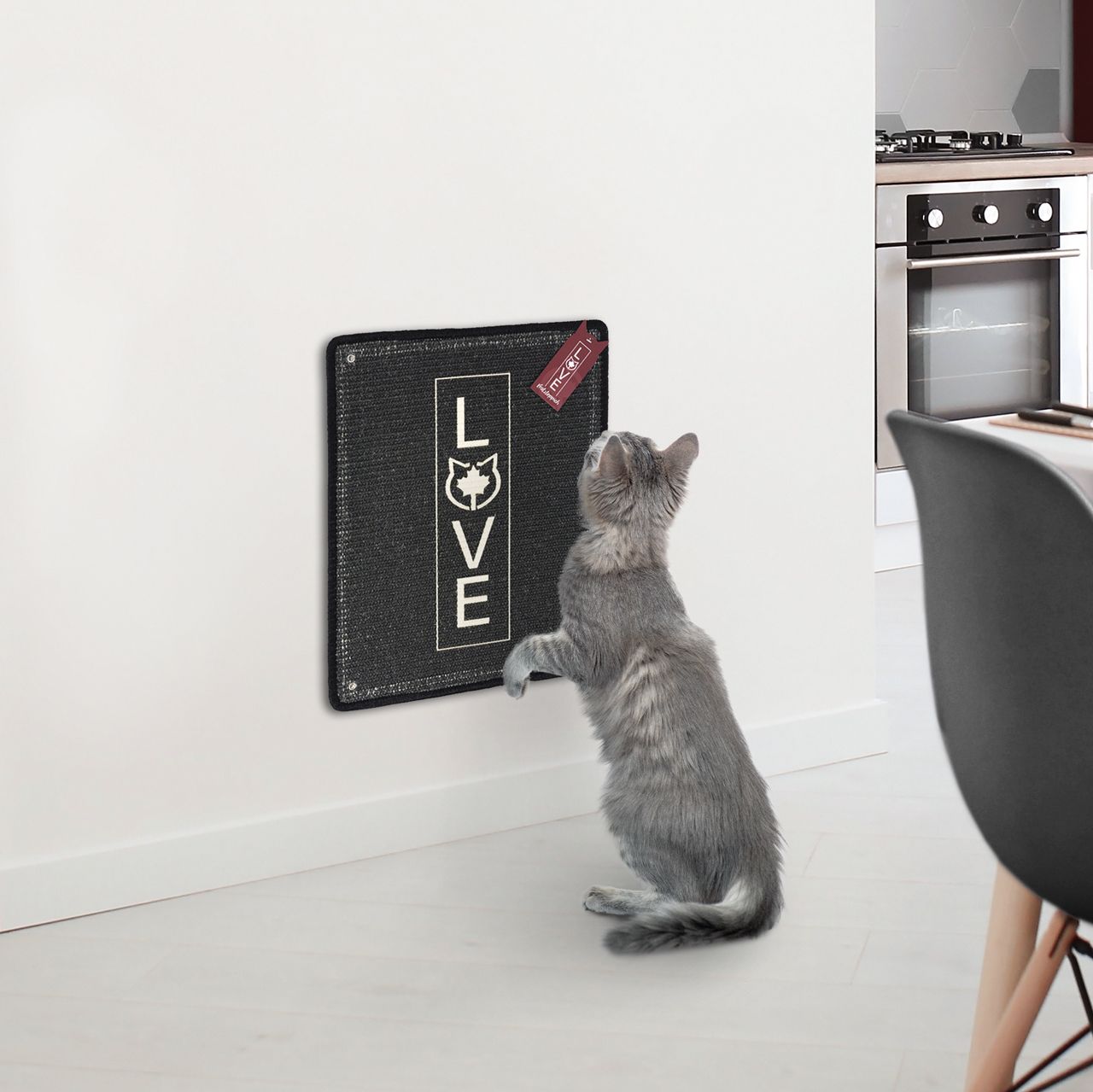 Kratzteppich für Katzen · anthrazit · 50 x 40 cm · mit Wandbefestigung