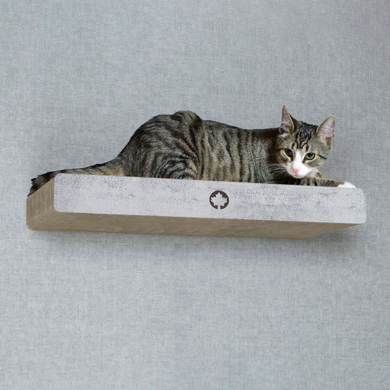 ERSATZTEIL · Kratzpappe CLOUD · C10135  · betonoptik · ca. 70 x 30 x 8 cm