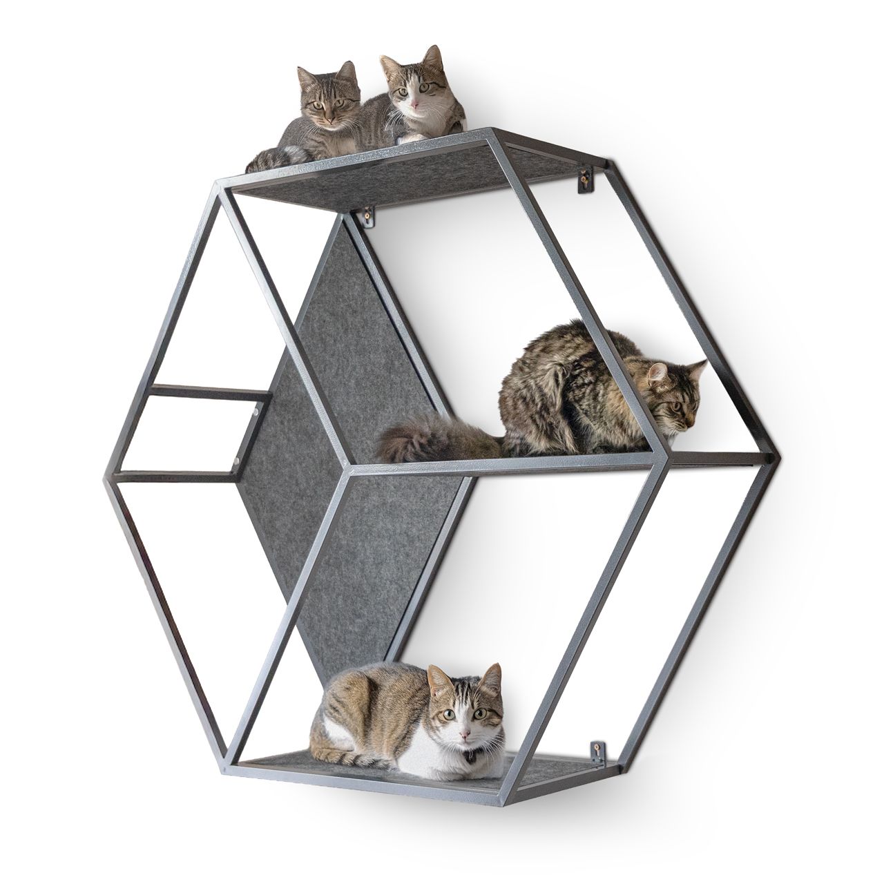 Katzenmöbel HexaCat · Wandregal/Kletterwand aus Metall mit Filzflächen · grau · 120 x 104 x 35 cm