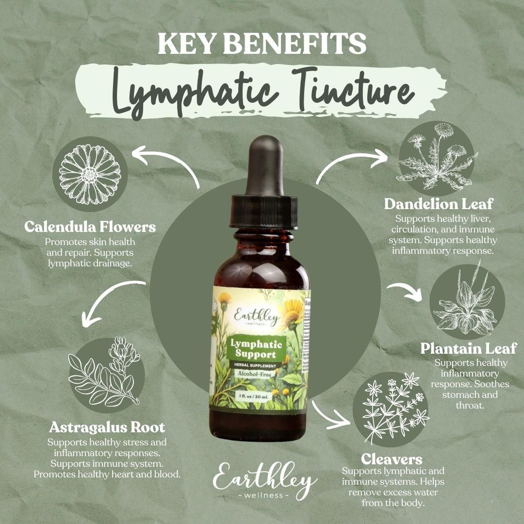 Lymphatic Support 2 oz