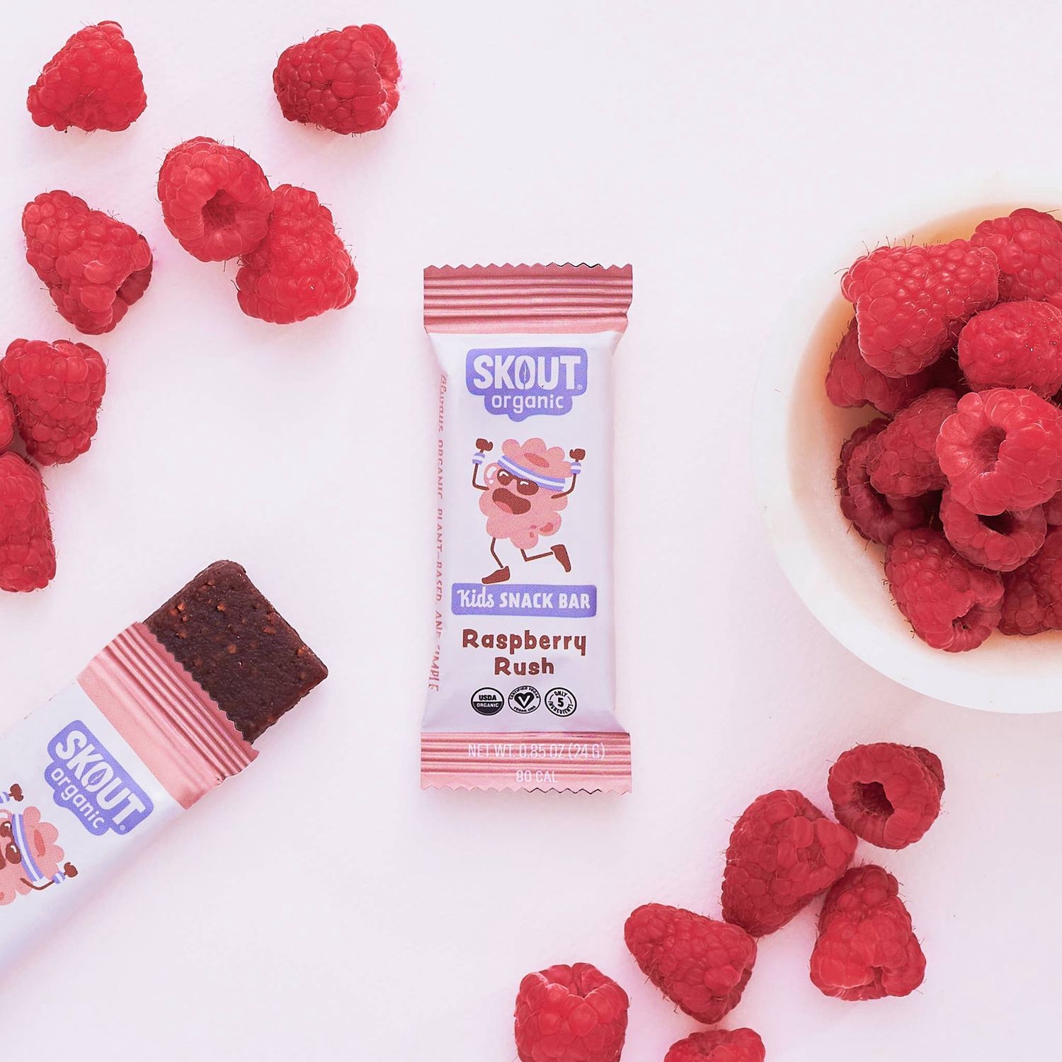 Skout Organic Raspberry Rush Kids Snack Bar | Nut-Free