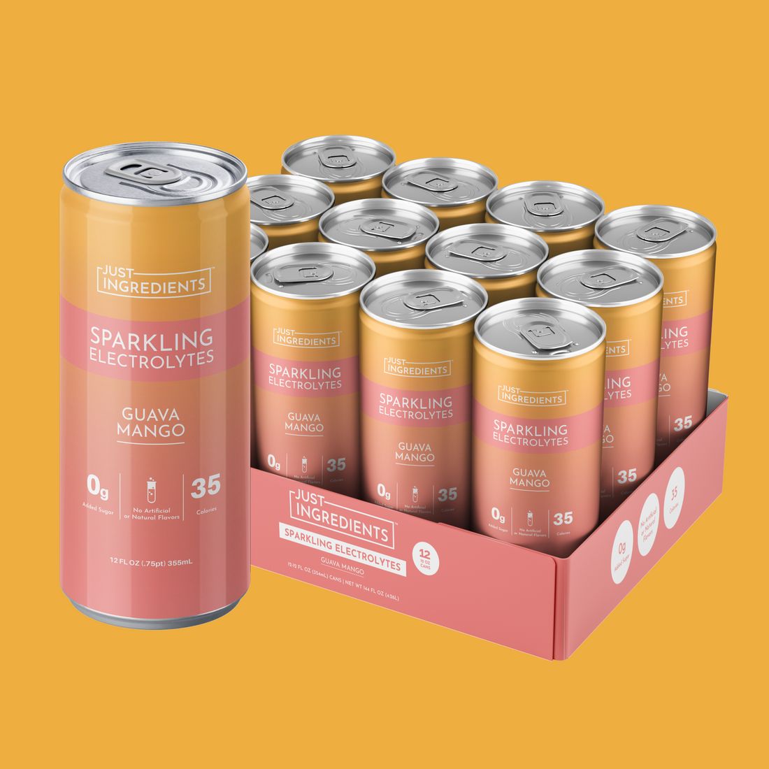 Guava Mango Can Electrolytes