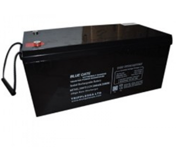 Solar/Inverter Battery