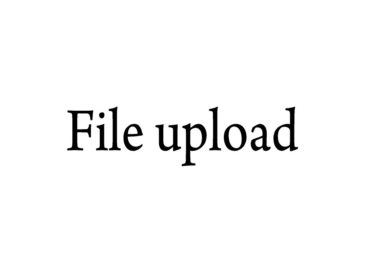 File Upload