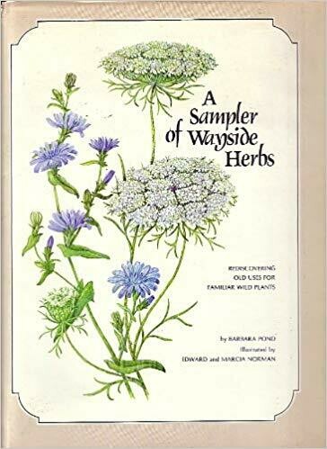 A Sampler of Wayside Herbs A Sampler of Wayside Herbs