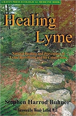 Healing Lyme: Natural Healing & Prevention of Lyme Borreliosis and the Coinfections (2005)