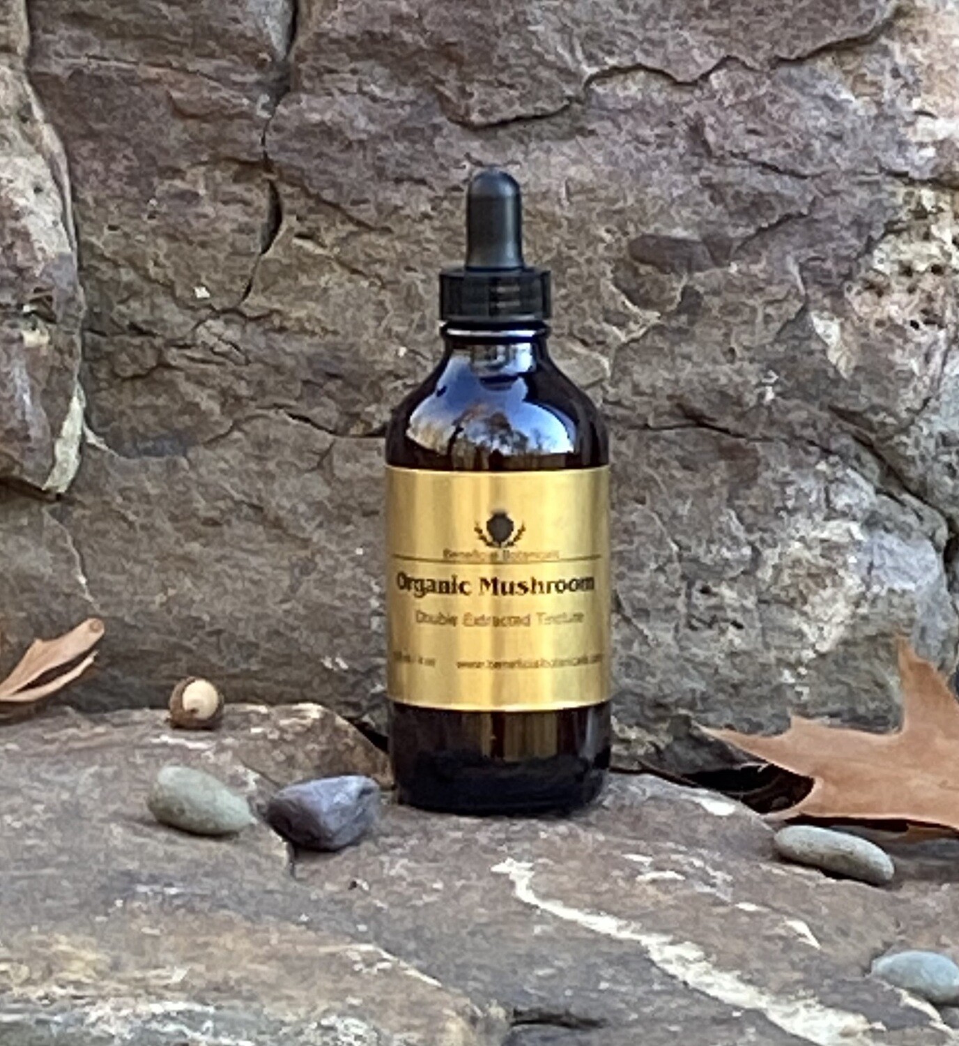 Lion's Mane Tincture Double Extraction Beneficial Botanicals mushroom tincture