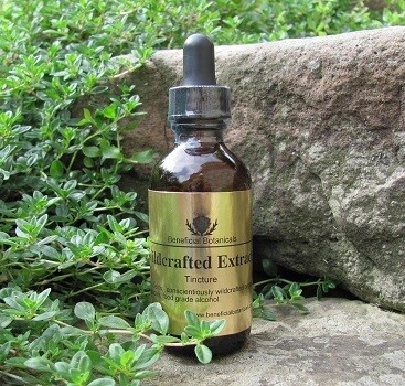 Milk Thistle Seed Tincture Beneficial Botanicals tincture