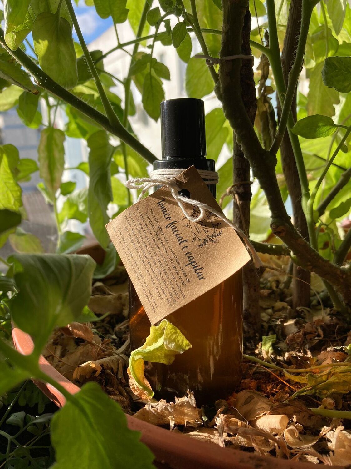 Tônico Facial e Capilar