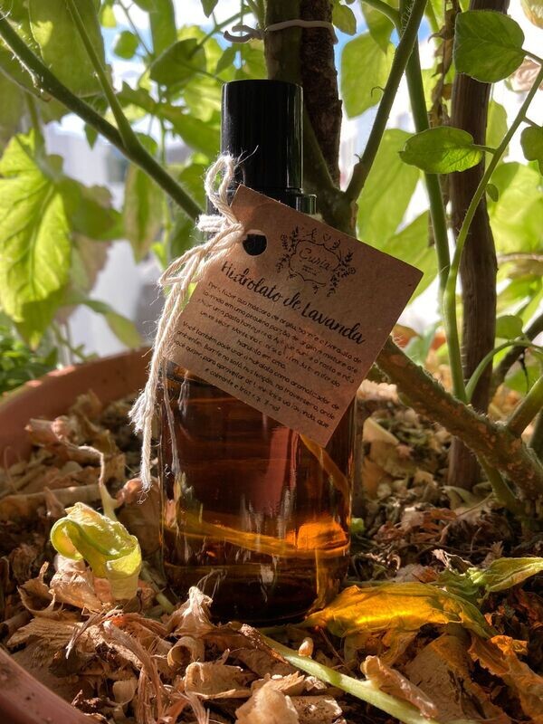 Hidrolato de Lavanda