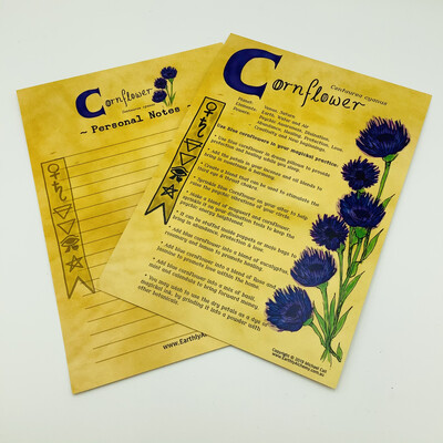 Blue Cornflower Book Of Shadows Page Blue Cornflower Book Of Shadows Page