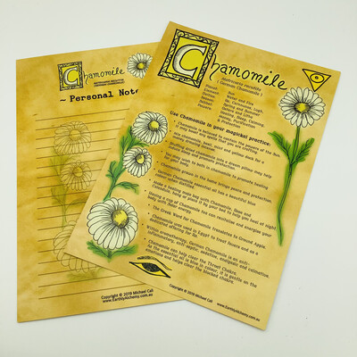 Chamomile Book Of Shadows Page Chamomile Book Of Shadows Page