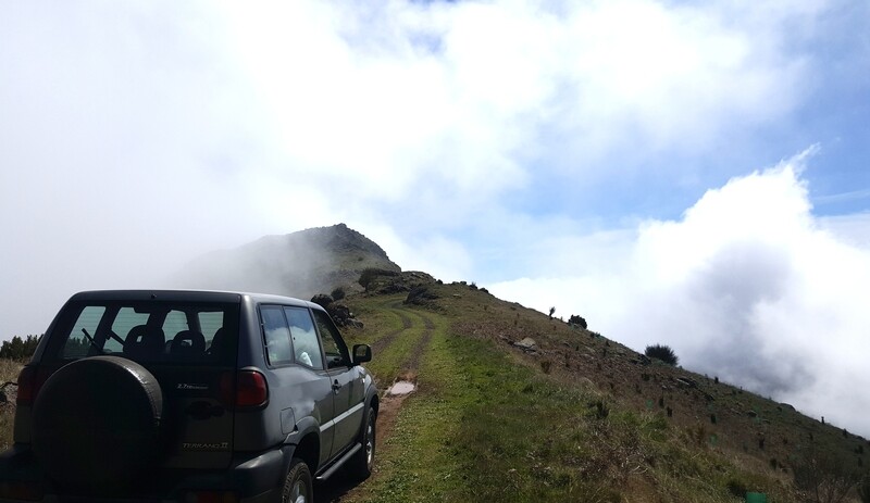 Funchal Sky to Sea TOUR (Half Day)