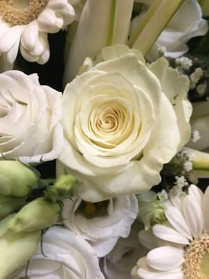 Whites - Florist Choice 