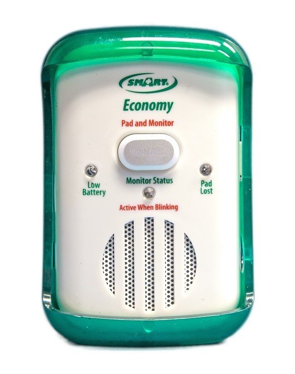 Fallguard Economy Fall Monitor