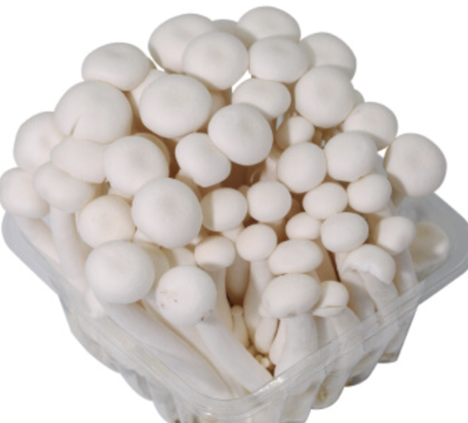 白玉菇 ~150g Freshmore White Beech Mushroom ~150g
