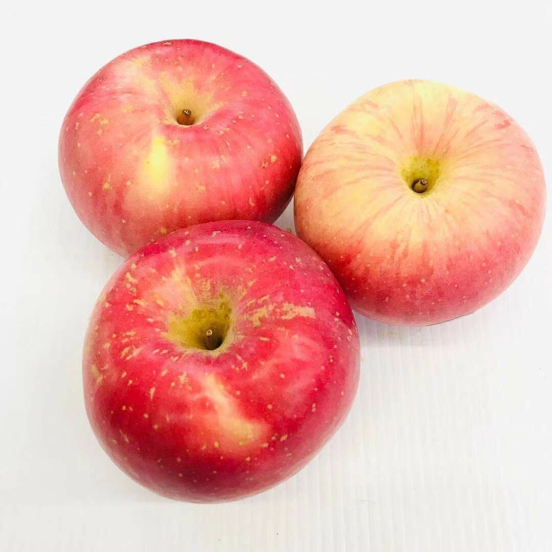 FRUI【水果】中国富士苹果3个 ~约2.5lbs
