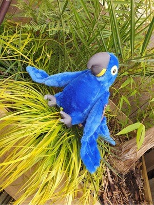 Hyacinth Macaws