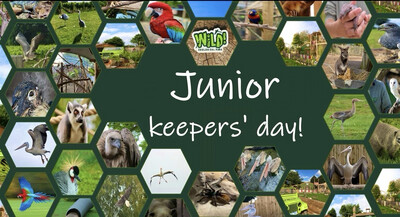JNR KEEPER DAY 16th MARCH