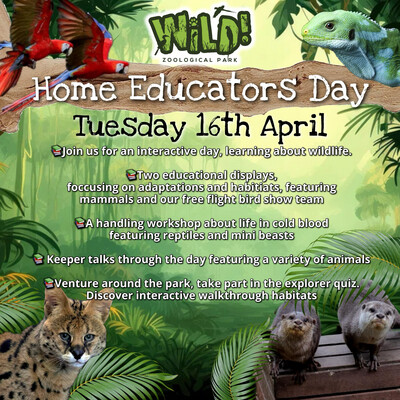 Home Ed Day 16th April