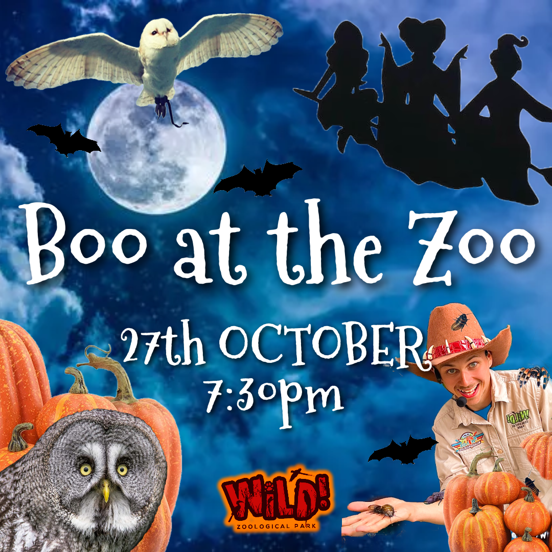 BOO ZOO 27th October 7:30pm